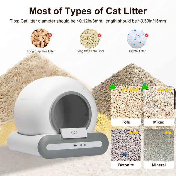 Smart Kitty Litter Box